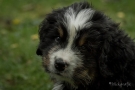 blickgrafie-img_6115-kl