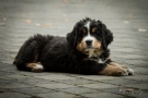 blickgrafie-img_6175-kl