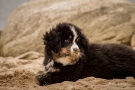 blickgrafie-img_6549-kl