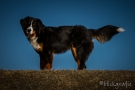 img_0884-blickgrafie