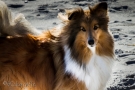 img_1528-blickgrafie_