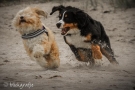 img_7555-skl-13
