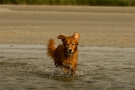img_8322-kl-c-blickgrafie-2013-sskl-c-blickgrafie-2013