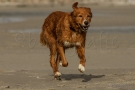 img_8389-kl-c-blickgrafie-2013-sskl-c-blickgrafie-2013