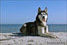 v-cimg8763-kl-blick