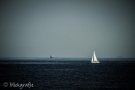 ca-img_6786-1