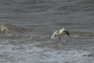 img_1697-blickgrafie_