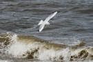 img_1700-blickgrafie_