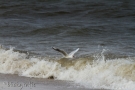 img_1701-blickgrafie_