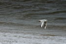 img_1705-blickgrafie_