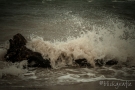 img_1778-blickgrafie_