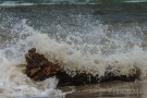 img_1815-blickgrafie_