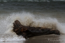 img_1830-blickgrafie_