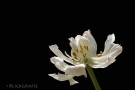 i-img_3404-blick-kl