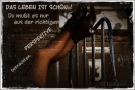 img_7113-skl-02-das-leben-ist-schoen-2